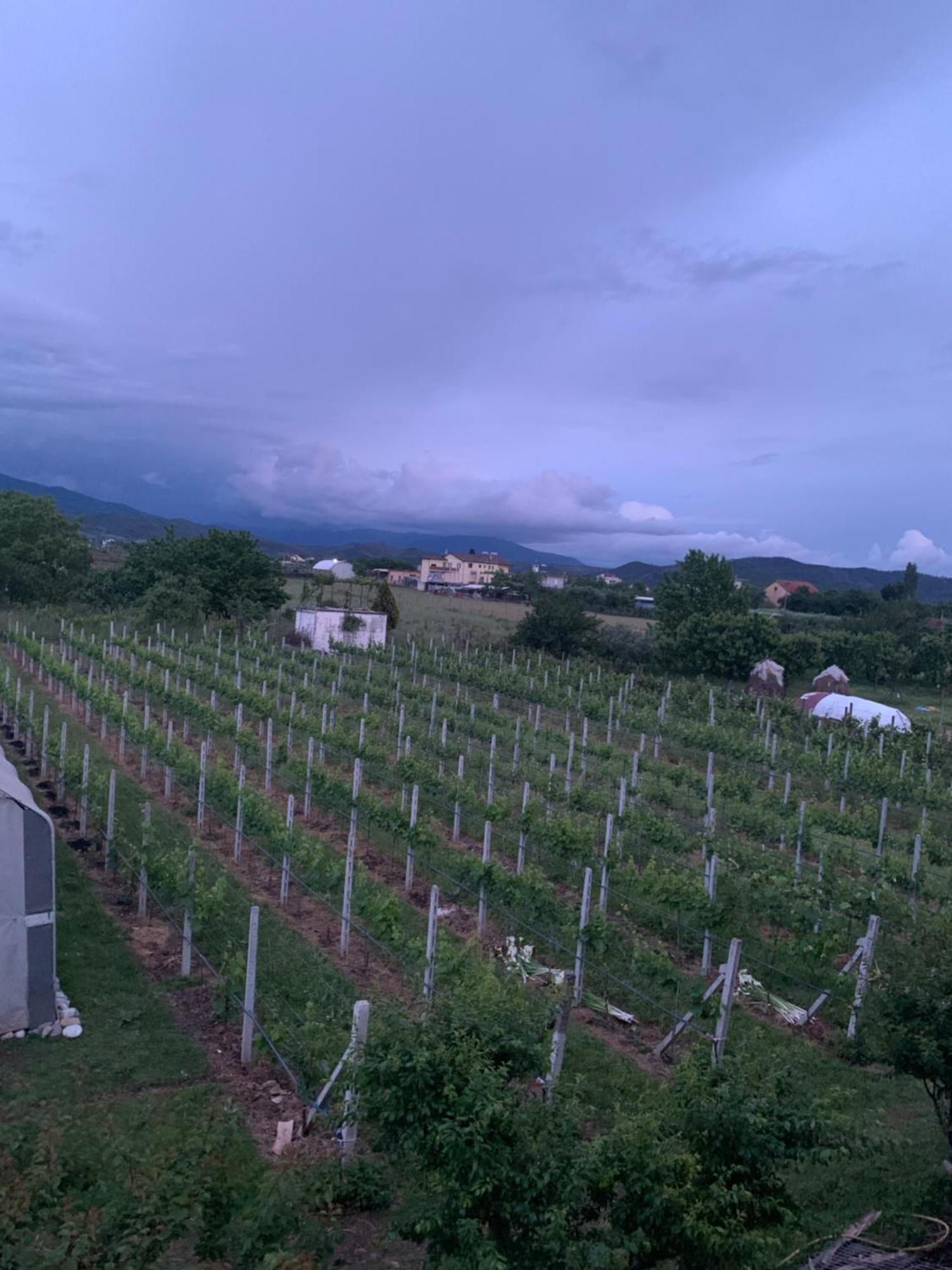Hotel Villa Linda Shkodër Exteriér fotografie