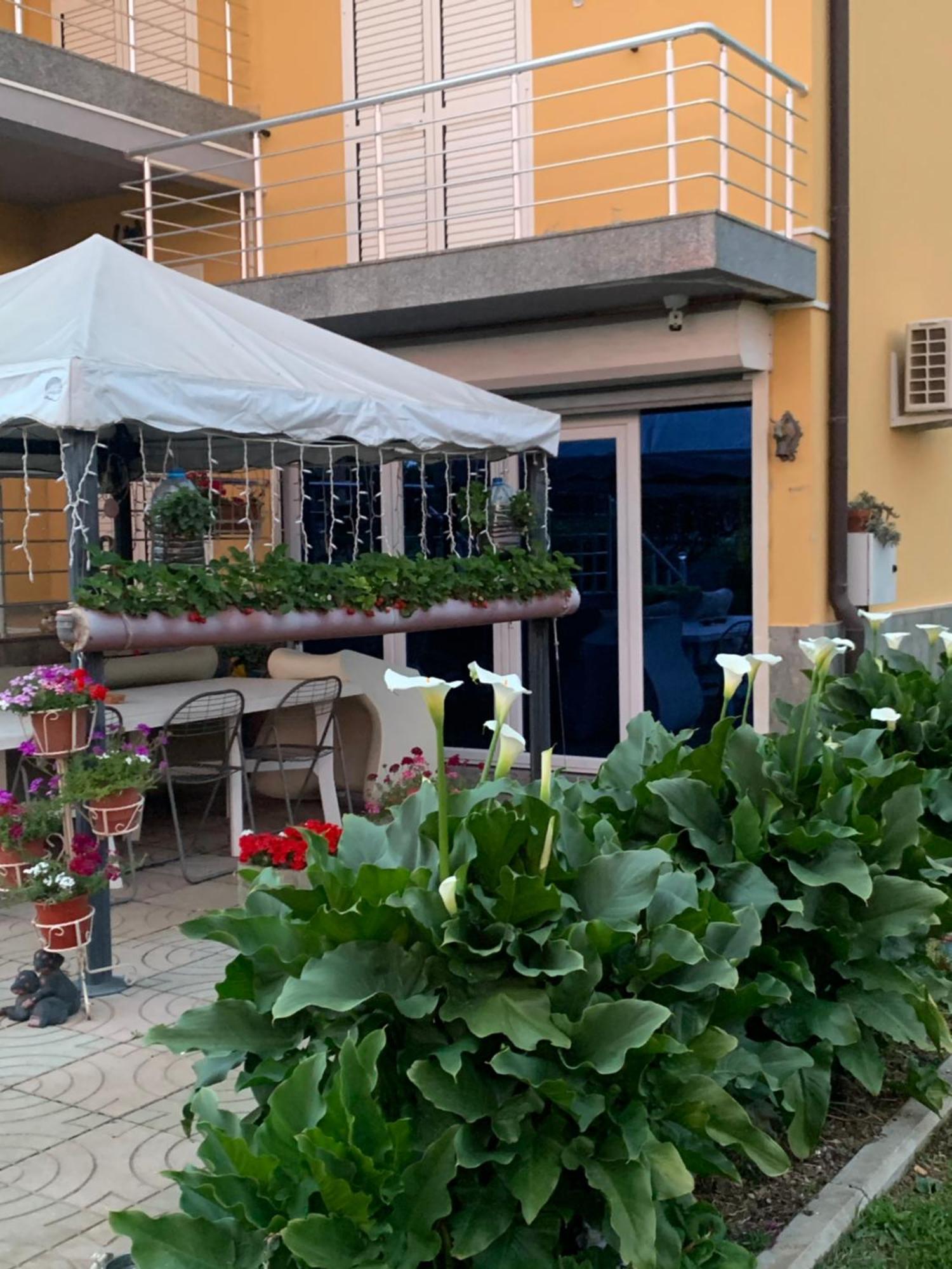 Hotel Villa Linda Shkodër Exteriér fotografie