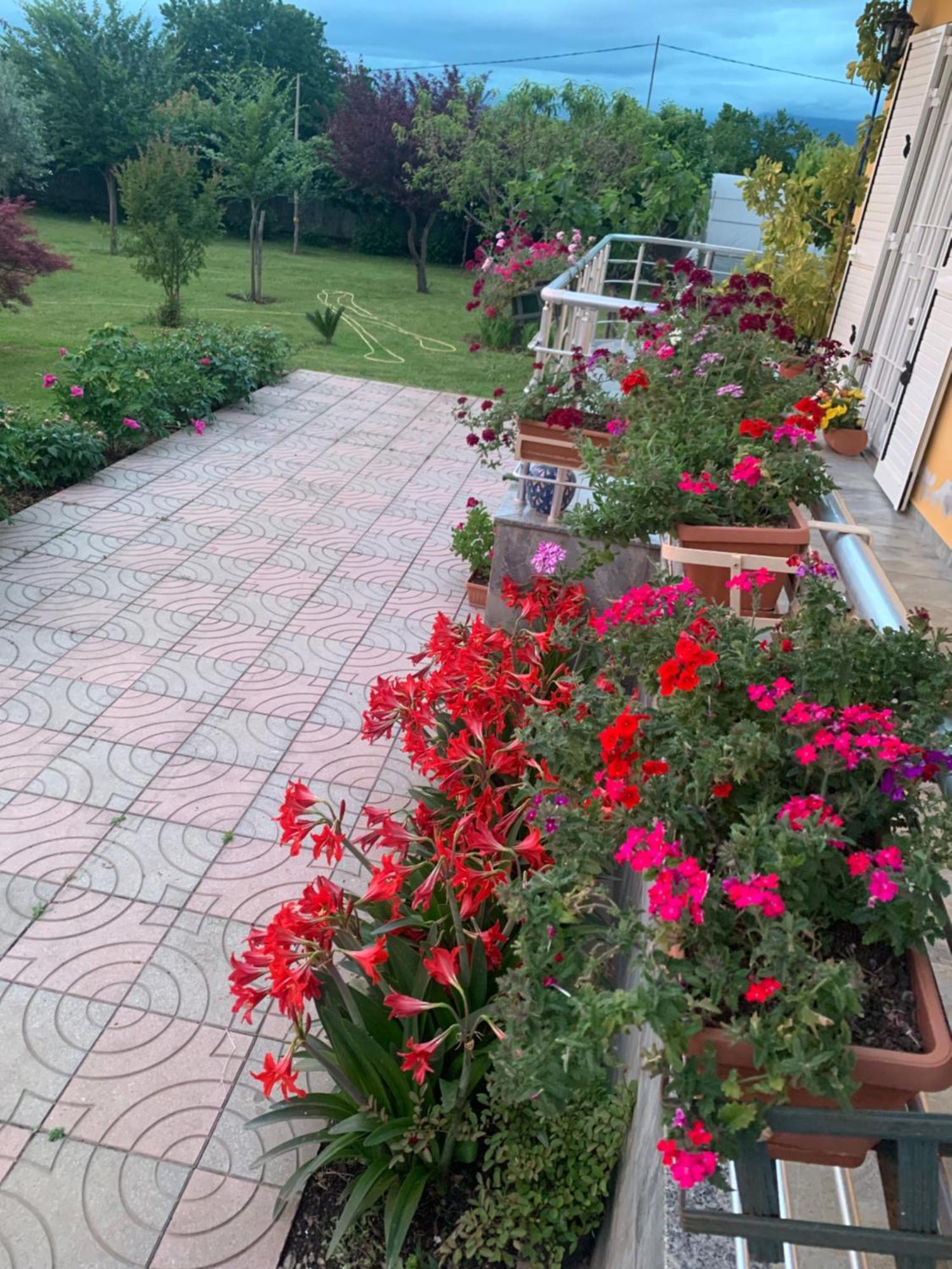 Hotel Villa Linda Shkodër Exteriér fotografie